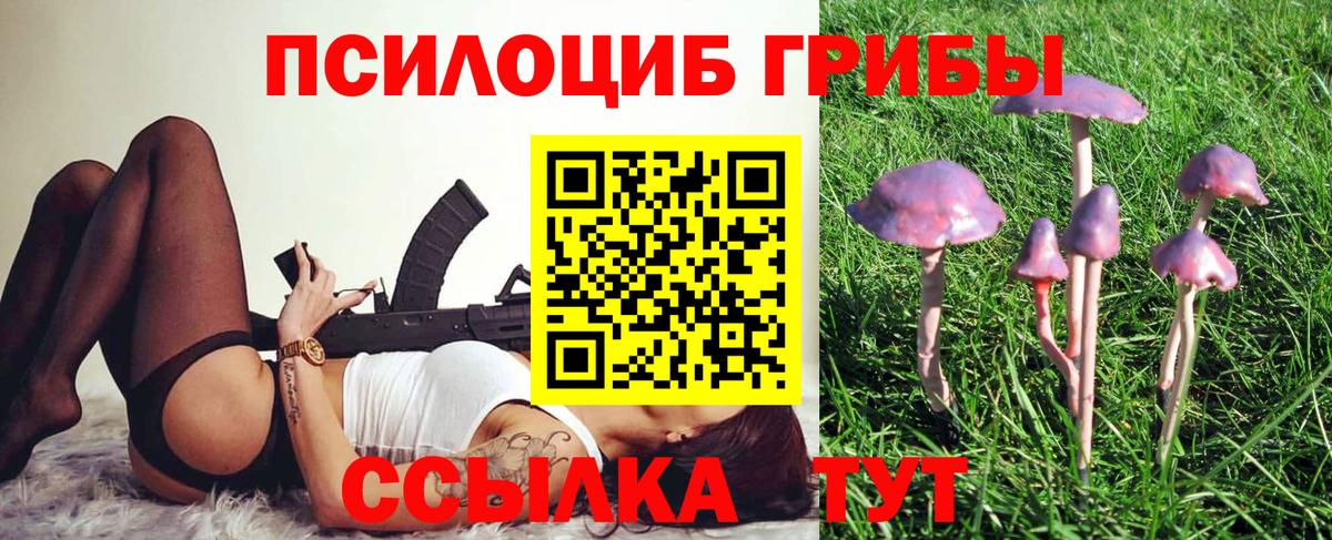 Новодвинск  Галлюциногенные грибы прущие грибы  Вход с VPN 